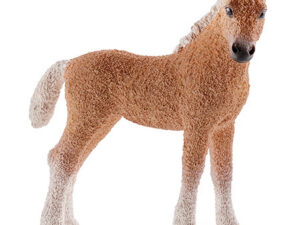 RestpostenBashkir Curly Fohlen