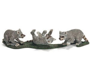 RestpostenWaschbär Jungen